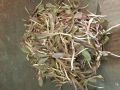 社區(qū)新鮮蔬菜團(tuán)購指南 便捷地址、聯(lián)系方式和營業(yè)時間一覽